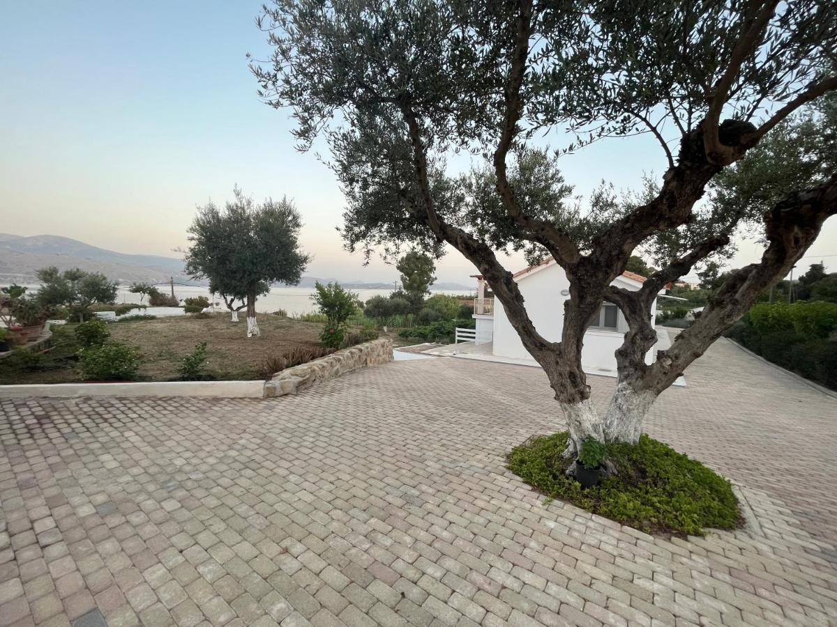 Apollonides Seafront Villa1 Aoede Ликсури Экстерьер фото