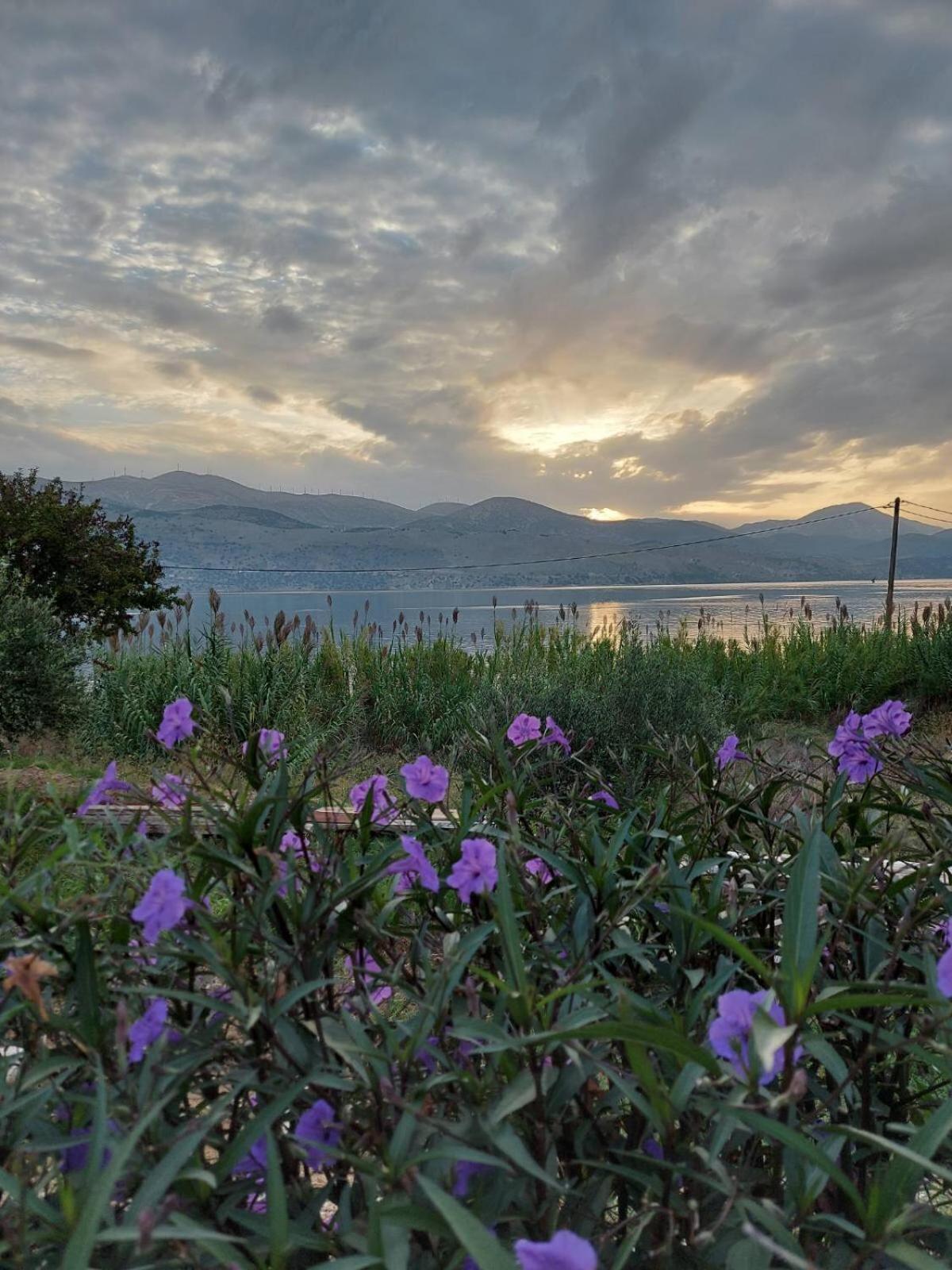 Apollonides Seafront Villa1 Aoede Ликсури Экстерьер фото
