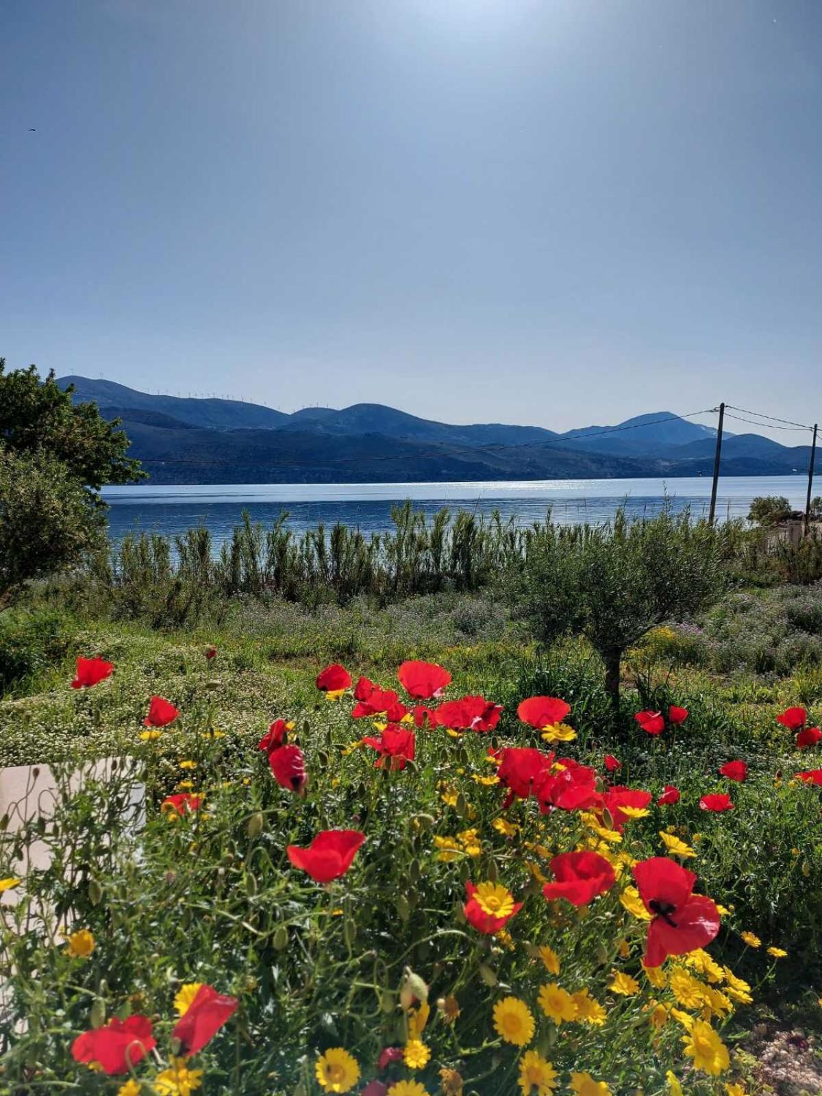 Apollonides Seafront Villa1 Aoede Ликсури Экстерьер фото